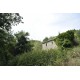 Properties for Sale_FARMHOUSE TO BE RESTORED FOR SALE IN MONTEFIORE DELL'ASO, IMMERSED IN THE ROLLING HILLS OF THE MARCHE , in the Marche region of Italy in Le Marche_13